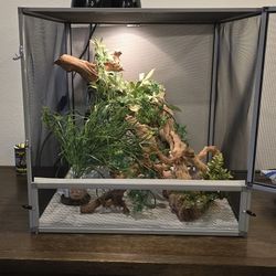 Complete Chameleon Enclosure
