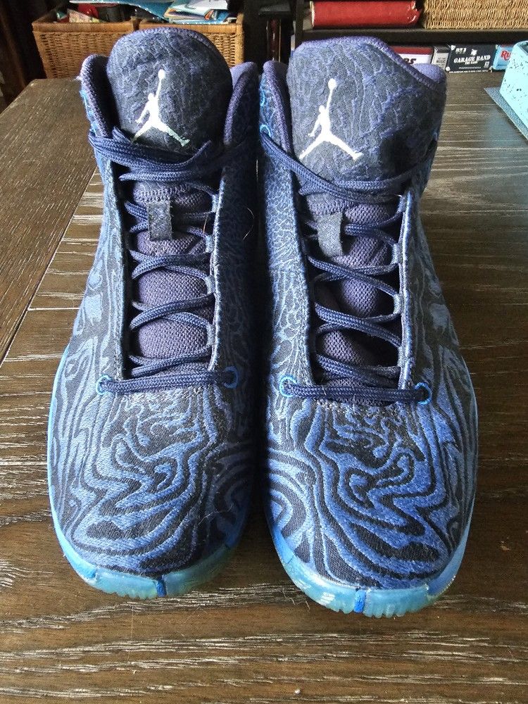 Air Jordan's Nike Blue Zebra Print Pattern.