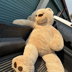 Huge Teddy Bear