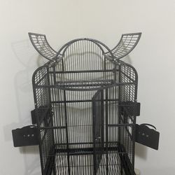 Bird cage 