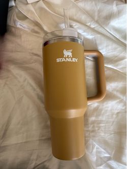 Stanley Starbucks Cups