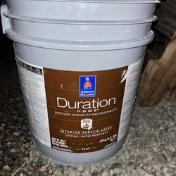 Sherwin Williams Interior Duration Paint