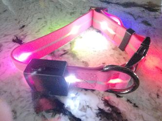 16" LED Lighted Dog Collar NEW
