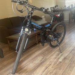 Electric Bike Vivi