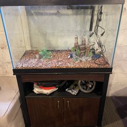 Fish Tank Aquarium