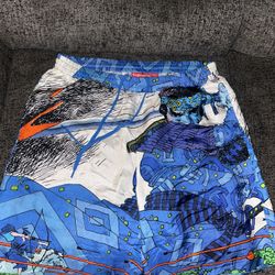 Supreme Silk Shorts