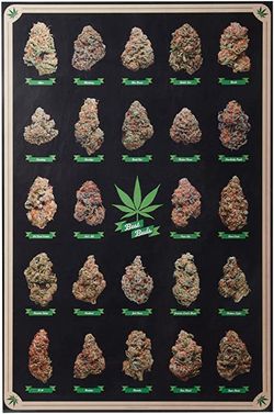 Best Buds Frame 