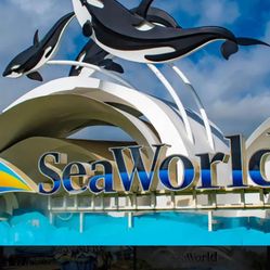 Sea World Tickets 