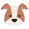 Missie