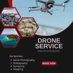 Drone service 