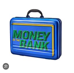 WWE briefcase.