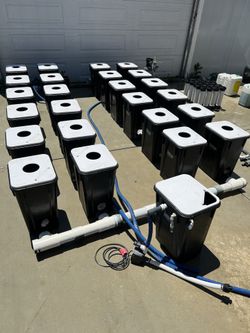 Current Culture 24 Site Hydroponic System