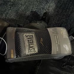 Boxing Gloves Ever Last