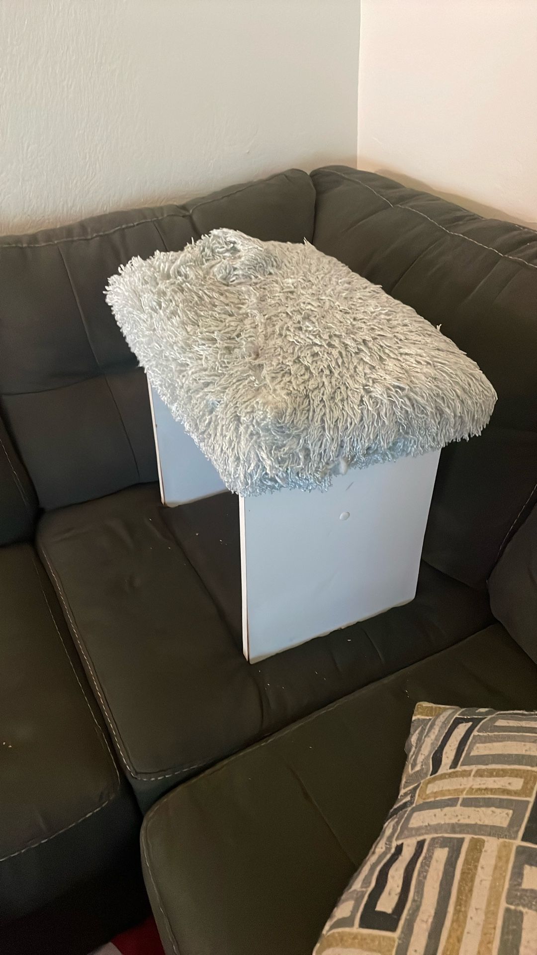 Stool