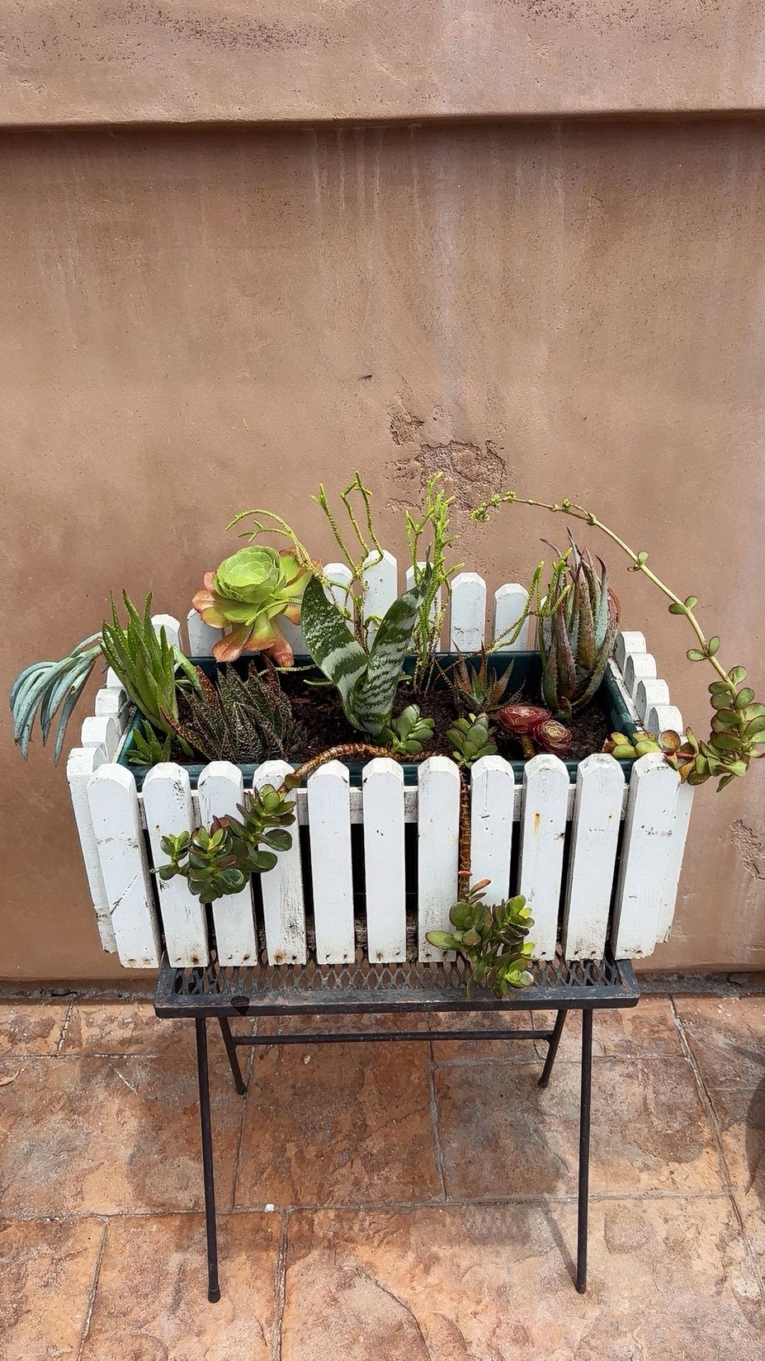 Succulent Planter