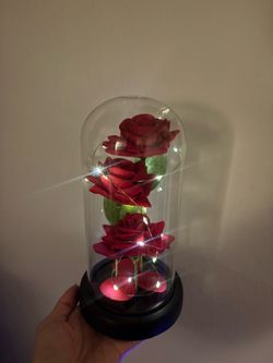 Beauty & the Beast Roses