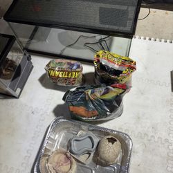 20 Gallon Reptile Tank 