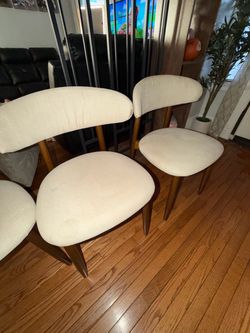 Modern dining chairs