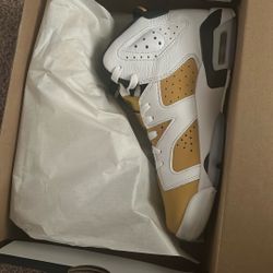 Jordan 6 