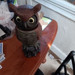 Singing Owls (2)
