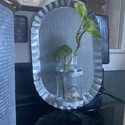 Metal Farm House Bundle