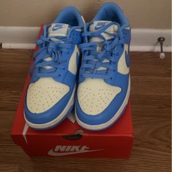 Nike Dunks 
