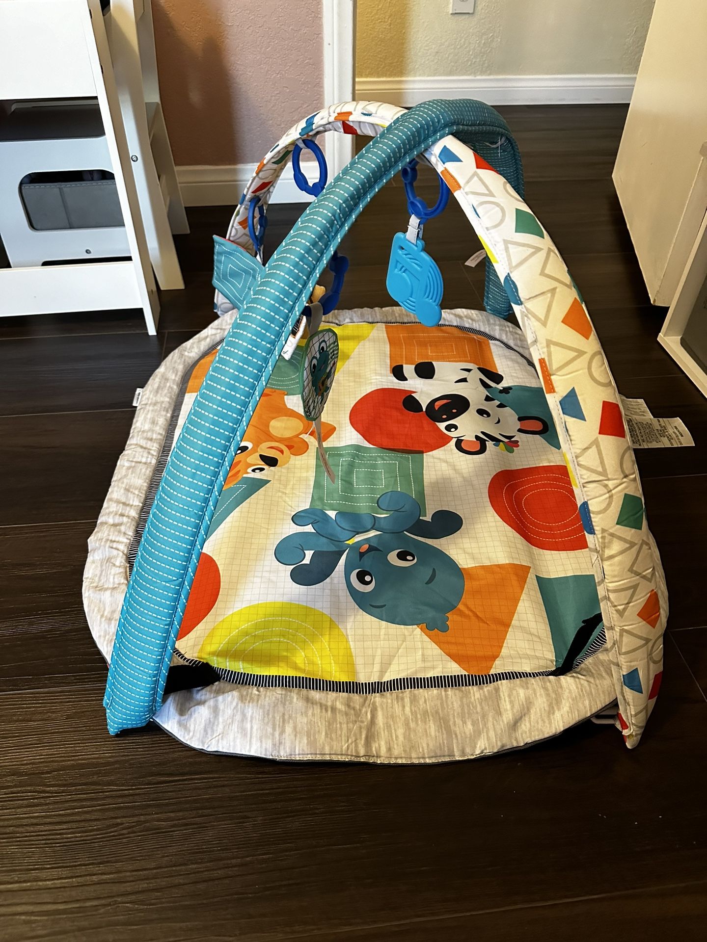 Baby Einstein Play Mat