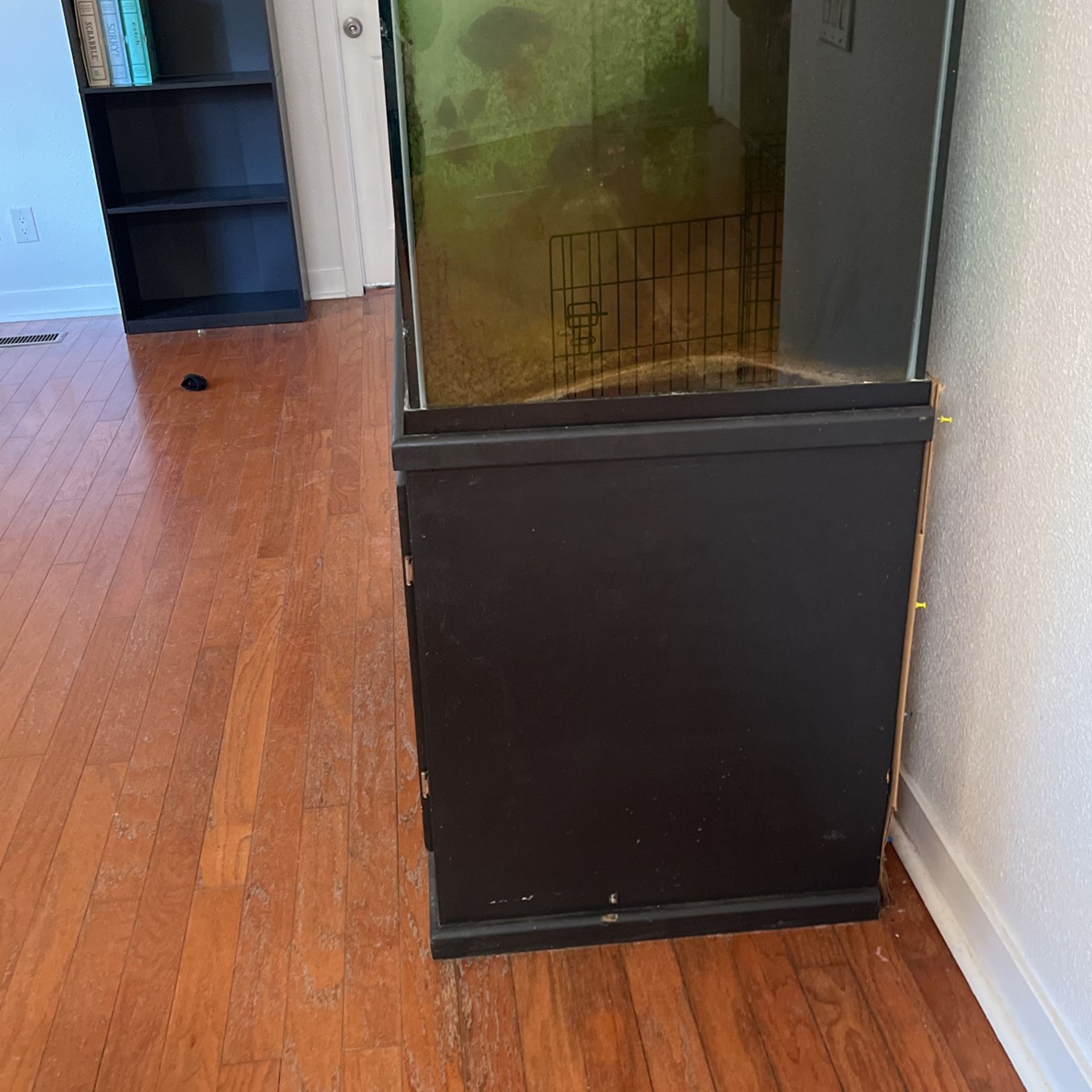 Fish Tank for Sale in Dulzura, CA OfferUp