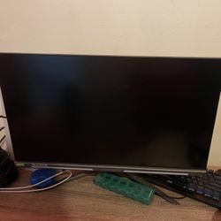Gaming / PC Monitor 