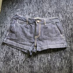 American Rag Shorts 
