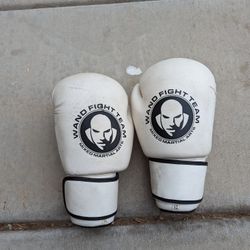 Wand Fight Team Mixed Martial Arts Gloves