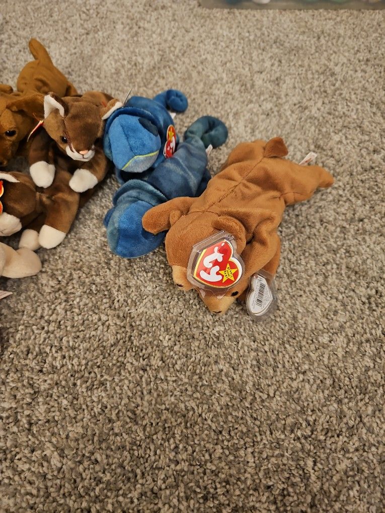 Beanie Babies Galore