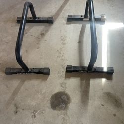 Exercise Parallettes