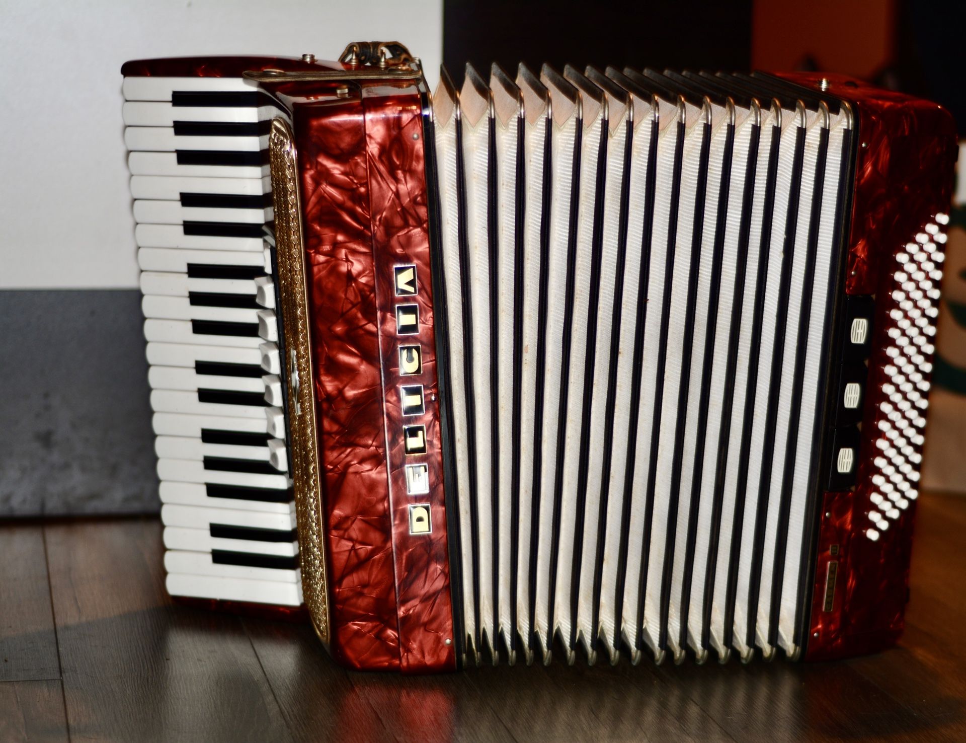 Delicia Carmen II Accordion Piano 7 Switches 80 Bass 37 Keys