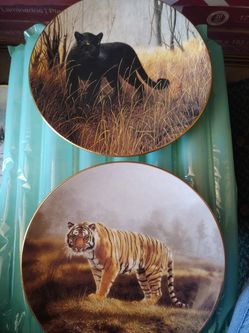 6 Beautiful Cats plates