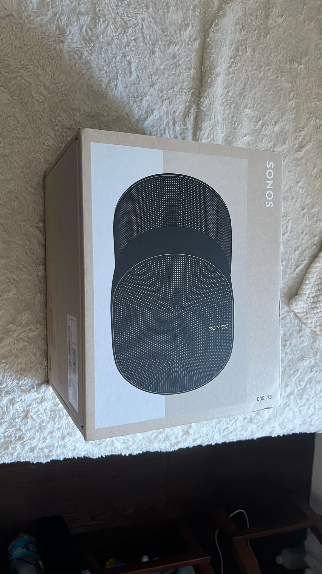 Smart Speaker Era 300