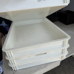 Dough Boxes 