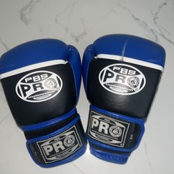 Pro Boxing Gloves 
