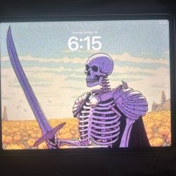 iPad Pro 6th Generation 12.9 Inch 256GB