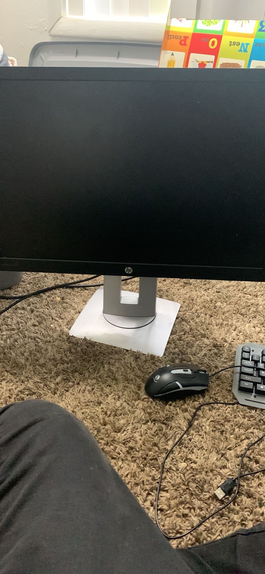 Pc And Monitor 