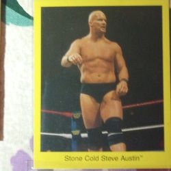 WWF Collectibles (Stone Cold,Mankind,Ect)