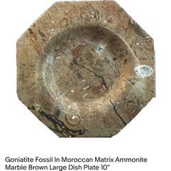 Goniatite Fossil In Moroccan Matrix Ammonite Marble Brown Large Dish Plate 10"