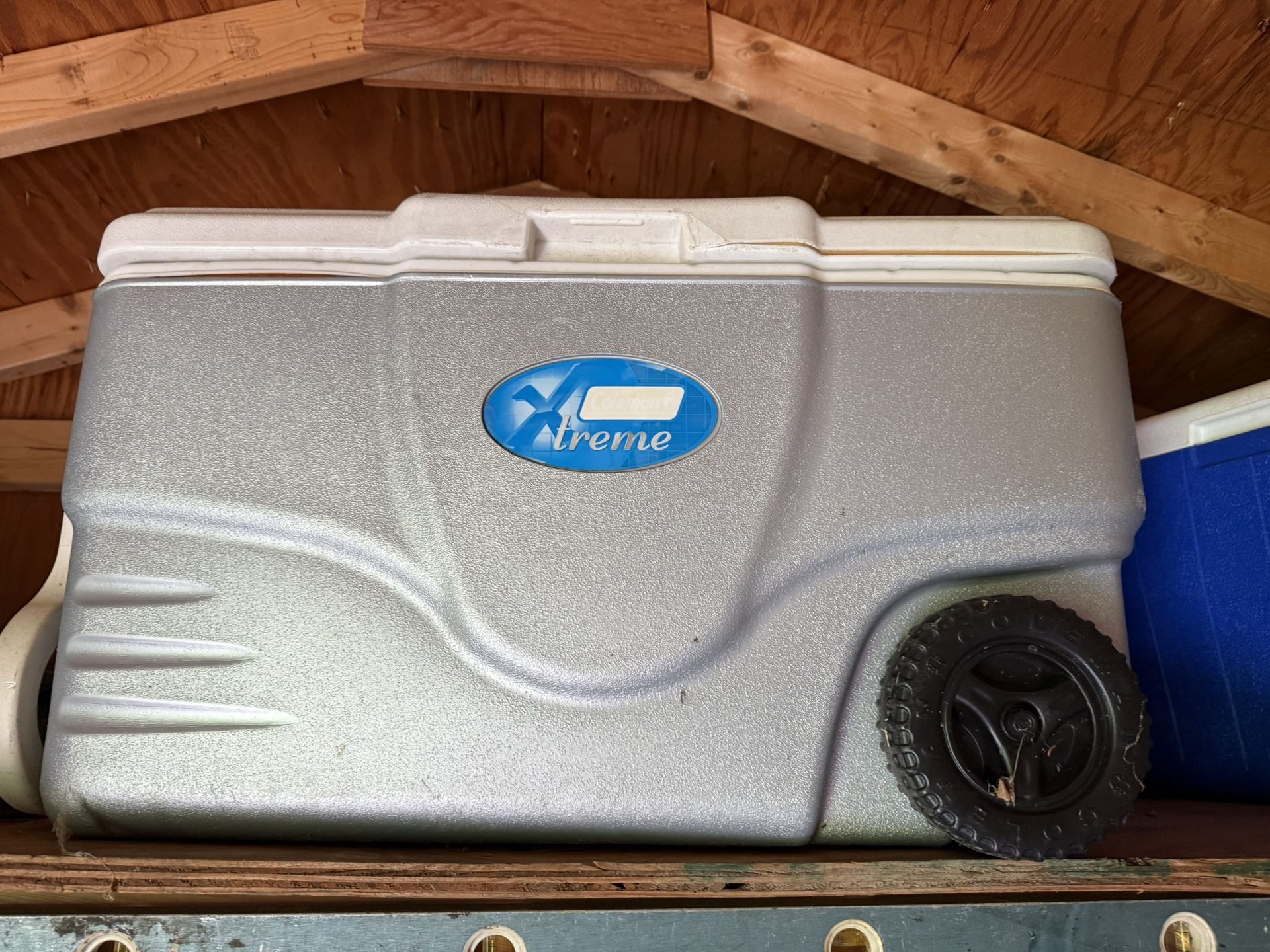 Coleman Coolers