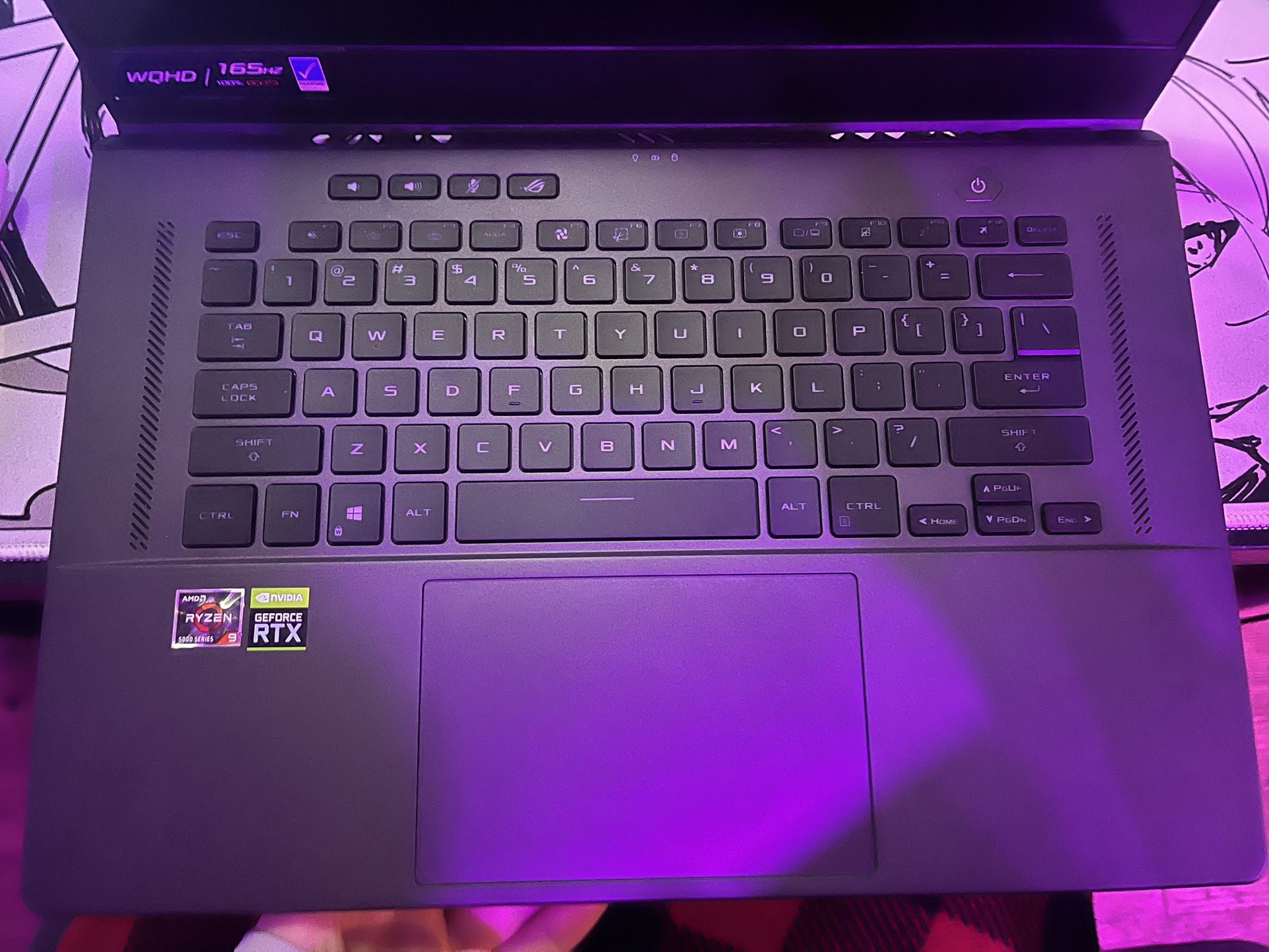 Asus Gaming Laptop (5900hs 3070)