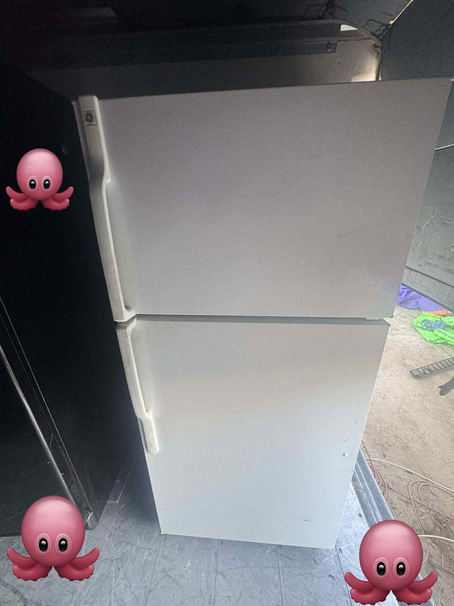 🐙🐙free Delivery 🐙🐙