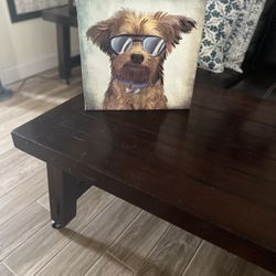 Dog Picture 