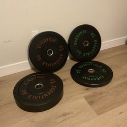Olympic Sized Barbell Weights 25 and 55 LBS