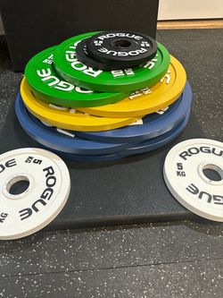 Rogue Fitness Powerlifting Kilo Plate Set (0.25kg-20kgs)