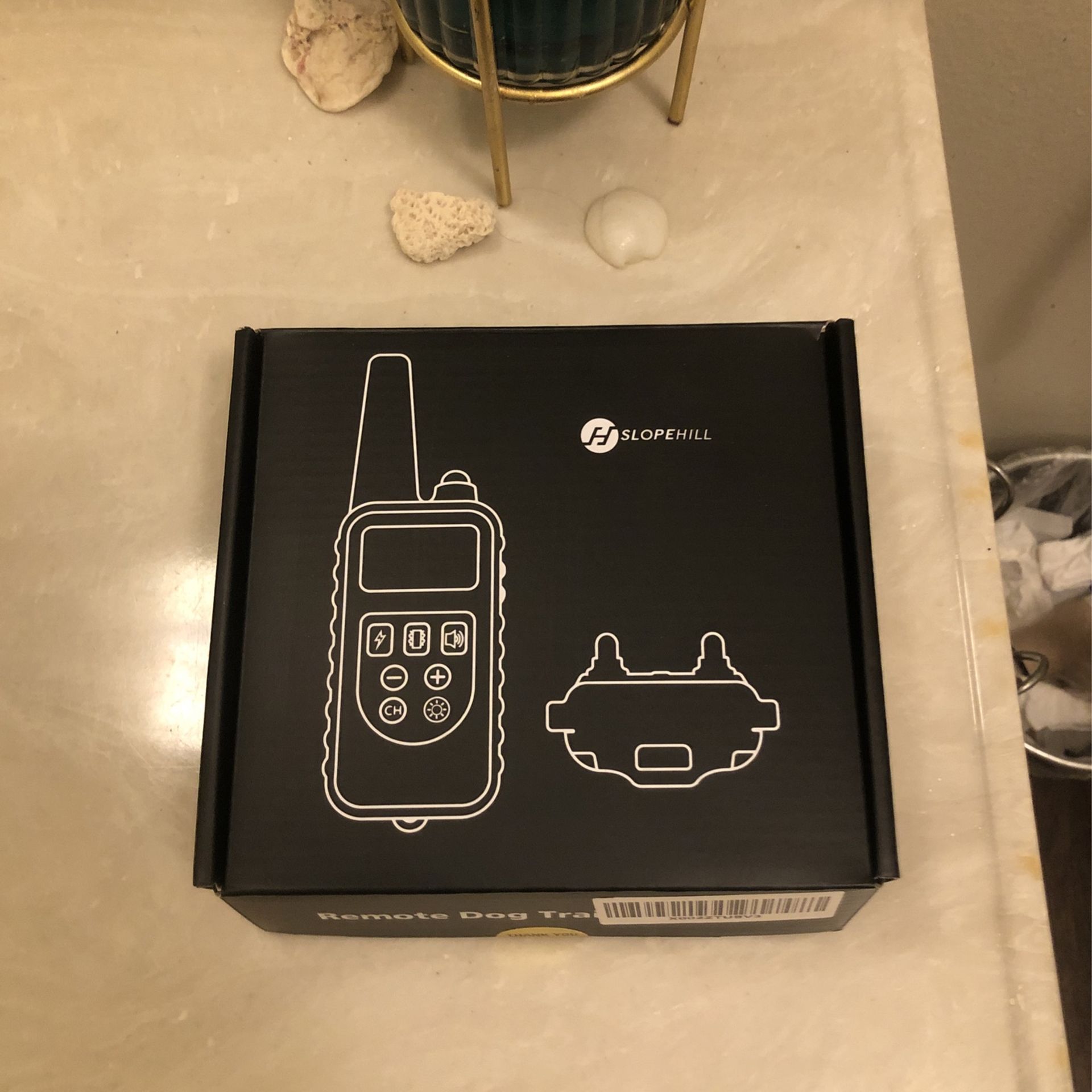 Remote Dog Trainer