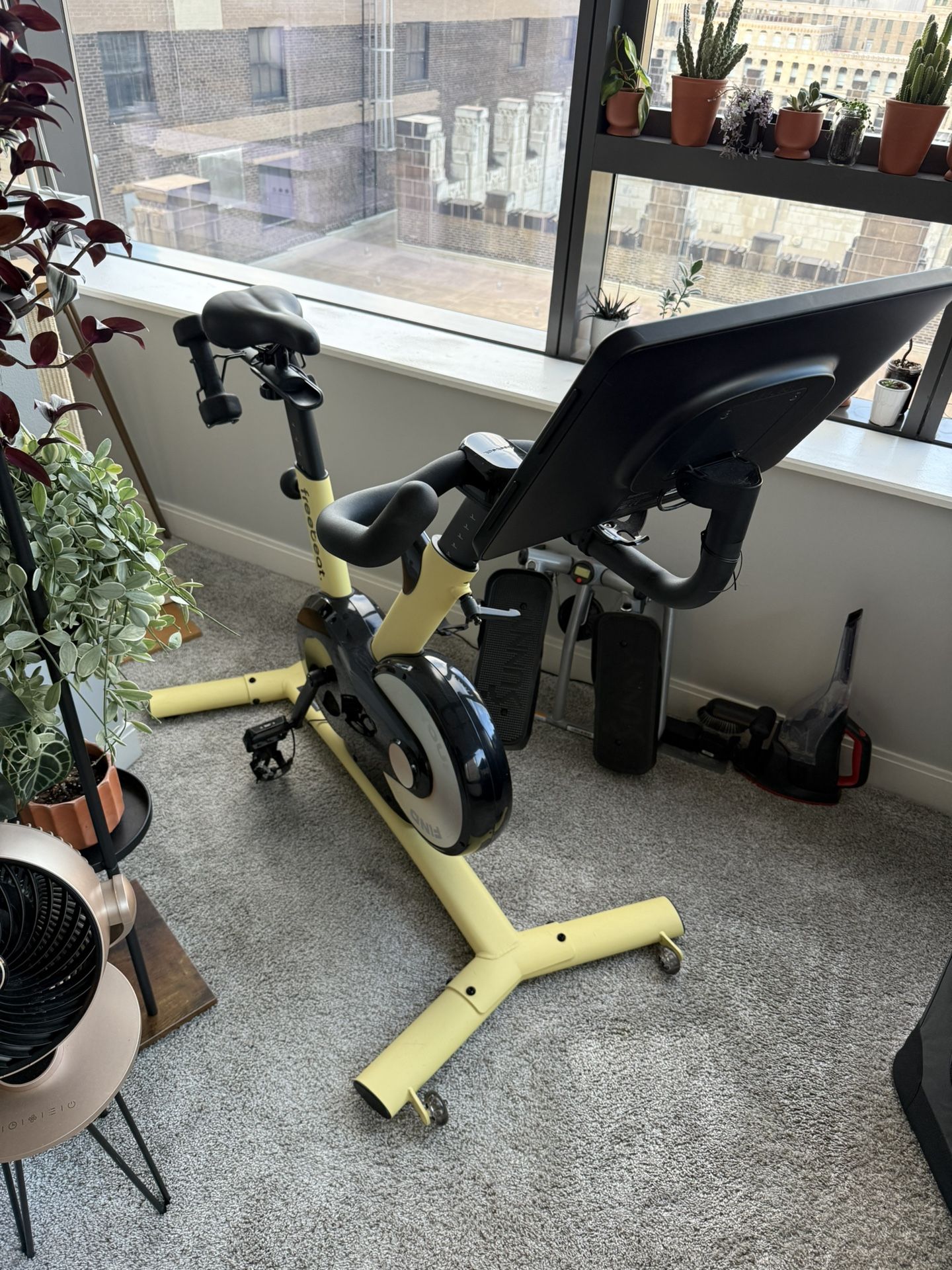 Freebeat Indoor Bike 